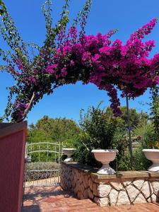 Apartment Ilovik 8069a