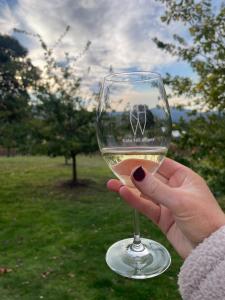 NEW Luxury Cabin with Scenic Views & Farm Charm