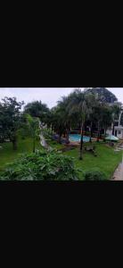 Comfortable Self Contained Deluxe Studio Apartment - D3