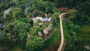 Pu Luong - Duy Phuong Homestay