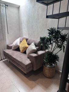 Apto cerca del zócalo principal