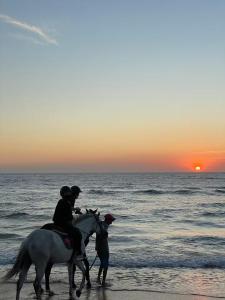 Superbe Appartement avec vue paronamique sur la plage Achakar - proche de Cap Spartel - Grottes Hercule