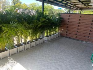 Cheese House - Bed and Breakfast