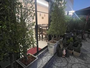 Cheese House - Bed and Breakfast