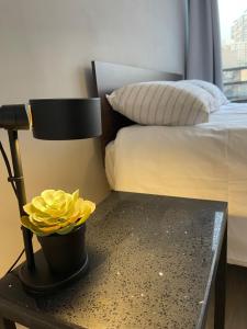 Iconic view of the Huérfanos Bridge, Santiago