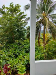 The balcony of the camiguin island
