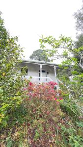 Healesville Gardeners Cottage