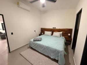 House of the Orange Cat