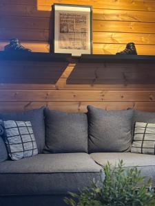 Himos Tomba, Areenan alue