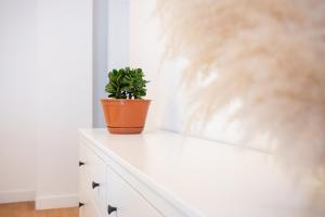 Navarino Athenian Nest