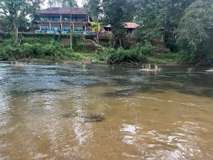 Falcon Riverview Resorts