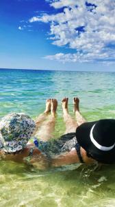 Seascapes and Beaches Pet Friendly