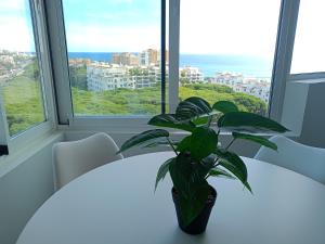 Estudio vista al mar en urbanización con salida a la playa