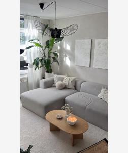 The Eden of Paradise