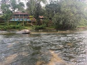 Falcon Riverview Resorts