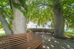 Giardino Airport Apartment with garden