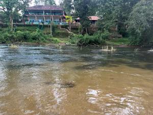 Falcon Riverview Resorts