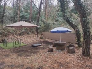 Ito - Cottage - Vacation STAY 19055