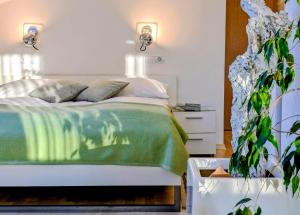 Garden Apartments Janša