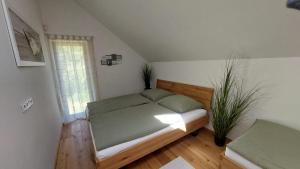 Apartmán u Dolní Moravy