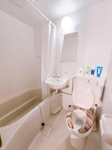 UENO 504 jellynehouse