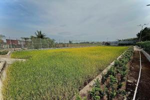 Bao Ong Thien Retreat and Senior Living - Khu Nghỉ Dưỡng Bào Ông Thiền