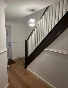 Midtown cozy hideout