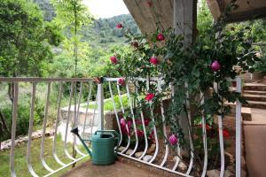 Apartments by the sea Prozurska Luka, Mljet - 4940