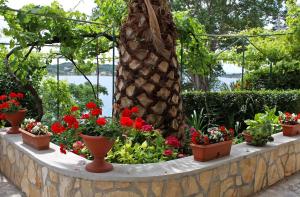 Apartment Supetarska Draga - Gornja 2016c