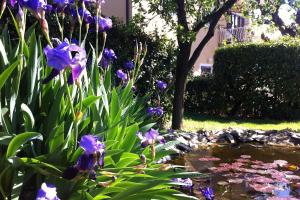 Apartment Basanija 7149b