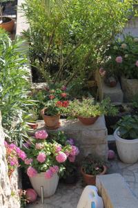 Apartment Mali Losinj 8093b