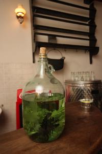 Apartment Novigrad 3349a