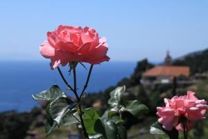 Studio Sveta Nedilja 8792a