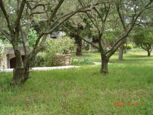 Apartment Punat 15259b