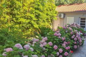 Apartment Rab 14515b