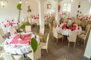 Pansion Danijel - Čilići