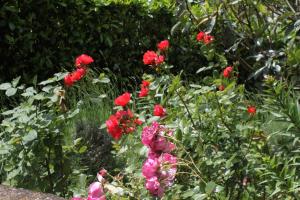 Apartment Moscenicka Draga 2327c