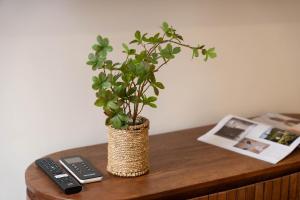 SuityRHome RioneMonti2