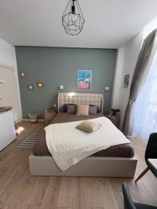 Adorable studio cannes center