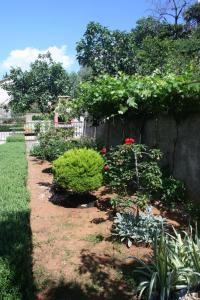 Family-friendly apartments with swimming pool Crikvenica - 5489