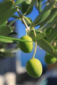 Apartment Preko 8384a