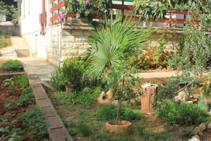 Apartment Mala Lamjana 827b