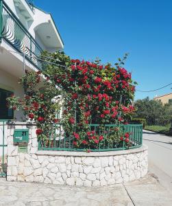 Apartment Sveti Filip i Jakov 16759a