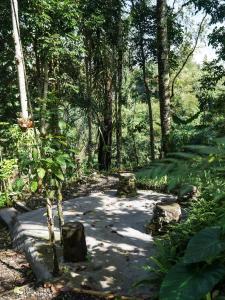 The Karu Cabins by AGATA