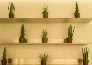 Sechi Hotel Milano with parking