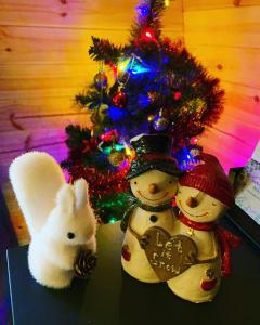 Loch Ness Woodland Pods