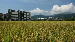 Hi Zebra Travel B&B - Tung-ch'eng-ts'un