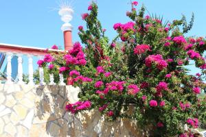 Villa PANGALIS Romantica Corfu Greece