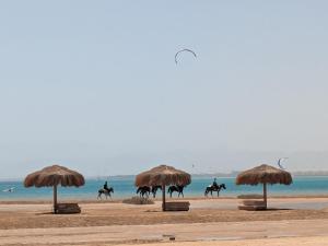 Panoramic Seaview Somabay 1BR Apartment in Mesca