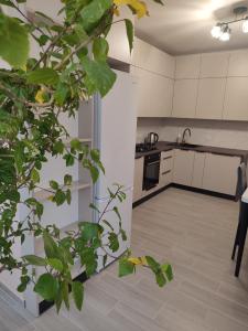 Квартира в центрі міста